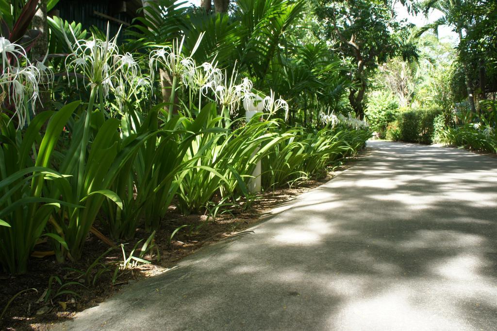 Palm Village Rawai Buitenkant foto