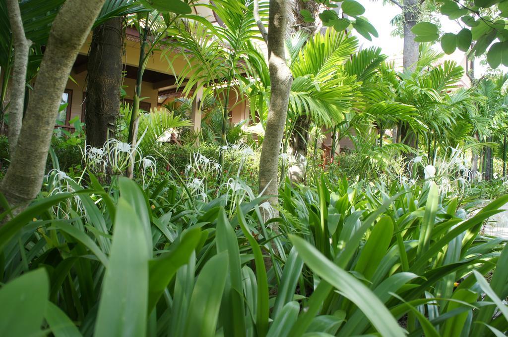 Palm Village Rawai Buitenkant foto